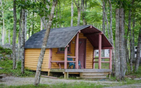 Отель Patten Pond Camping Resort Cabin 8  Эллсворт